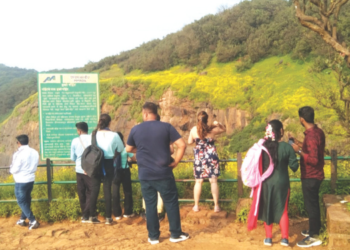 माथेरानच्या डोंगरांना चढला पिवळा साज