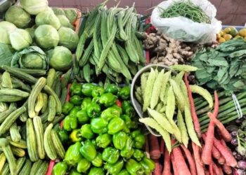 पावसामुळे भाजीपाल्याचे नुकसान; आवक मंदावली