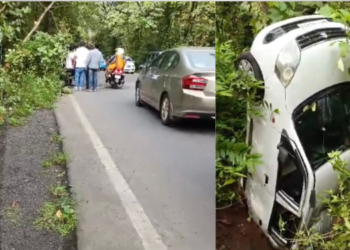 पाली-खोपोली महामार्गावर कारचा विचित्र अपघात