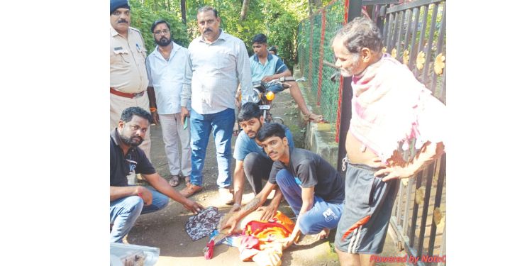 विहीरीत पडलेल्या भेकराला जीवनदान