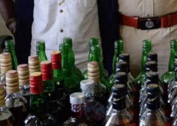 गोवा बनावटीची अवैध दारु जप्त