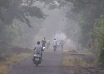 कोकणात गुलाबी थंडीची चाहूल