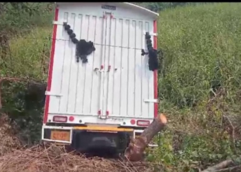 पिकअपची दुचाकीला धडक; एकाचा मृत्यू