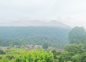 धुक्यांमुळे वातावरण प्रफुल्लित