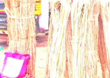 बांबूच्या बंध विक्रीतून रोजगार