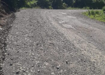 अलिबाग-रोहा रस्ता ठरतोय जीवघेणा