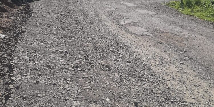 अलिबाग-रोहा रस्ता ठरतोय जीवघेणा