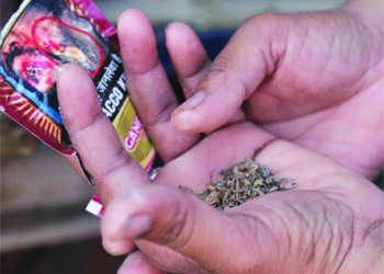 तंबाखू सेवन करणार्‍यांना दणका