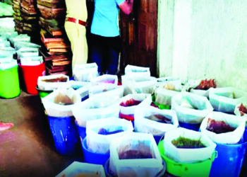 खैर तस्करी प्रकरणी कारवाई