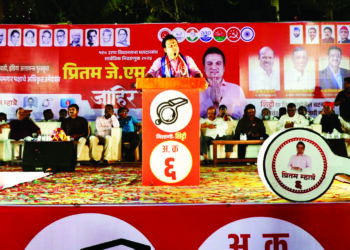 भेडसवणार्‍या समस्या शेकापच सोडवणार- प्रीतम म्हात्रे