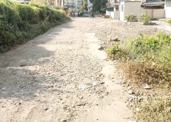 रस्त्याच्या दुरवस्थेकडे प्रशासनाचे दुर्लक्ष