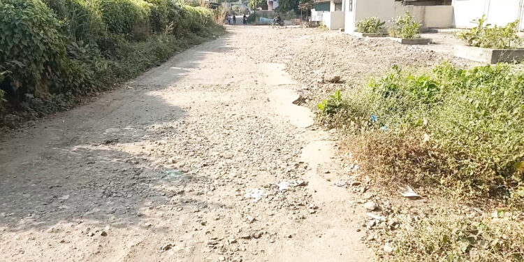 रस्त्याच्या दुरवस्थेकडे प्रशासनाचे दुर्लक्ष