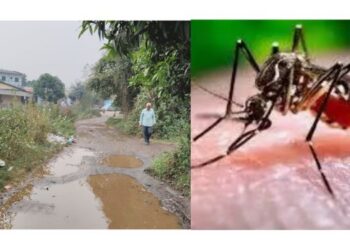 जसखारमध्ये आढळले चिकन गुनियाचे रुग्ण