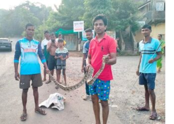 सर्पमित्राने दिले सात फुटी अजगराला जीवदान