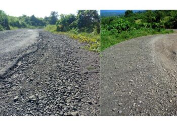 प्रवाशांच्या त्रासाचा दळवींना बसणार फटका