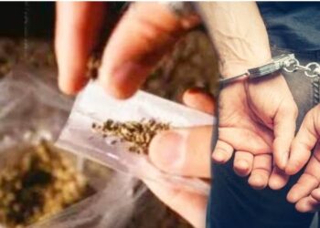 गांजा सेवन करणार्‍या तीन जणांवर गुन्हे