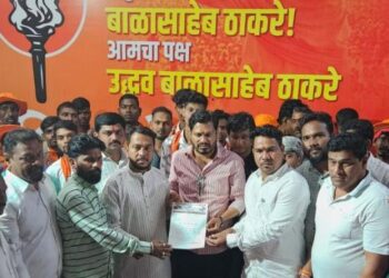 ऑल इंडिया पँथरचा पाठिंबा