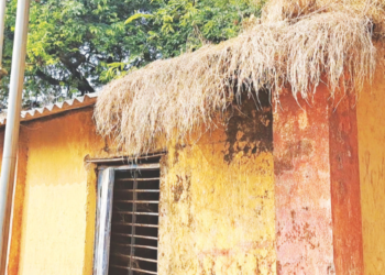 समाज मंदिरावर उगवले गवत