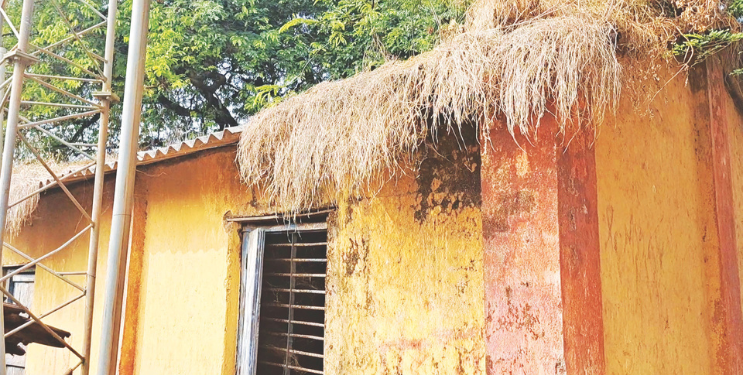 समाज मंदिरावर उगवले गवत