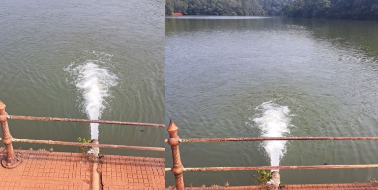 शार्लोटमधील गळतीचे पाणी उचलण्यासाठी लाखोंचा खर्च