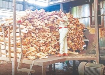 ईडीच्या आदेशाने कातभट्ट्यांवर छापा?