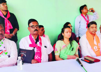 चिखलात लोळणार्‍यांना जनताच जागा दाखविणार- चित्रलेखा पाटील