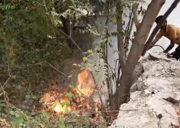 उपकेंद्राजवळील आग थोडक्यात आटोक्यात