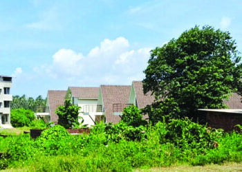 श्रीवर्धनमध्ये सीआरझेडचे सर्रास उल्लंघन