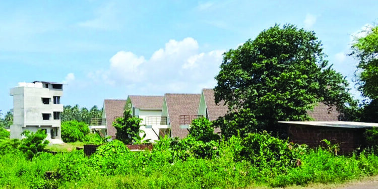 श्रीवर्धनमध्ये सीआरझेडचे सर्रास उल्लंघन