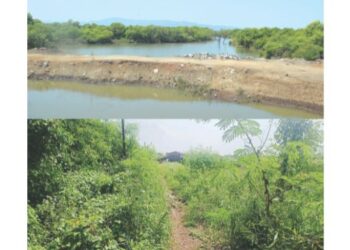 अधिकाऱ्यांची कमाल, ठेकेदारांची धमाल