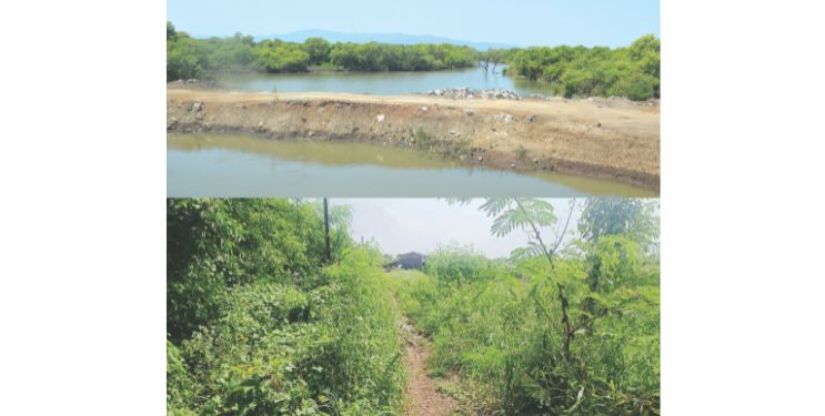 अधिकाऱ्यांची कमाल, ठेकेदारांची धमाल