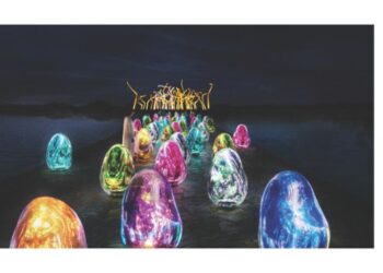 आबुधाबीच्या खारफुटी प्रदर्शनात झळकली नवी मुंबई