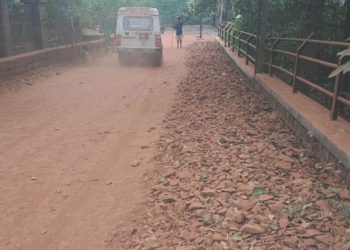 रस्ते धुळमुक्त कधी होणार?