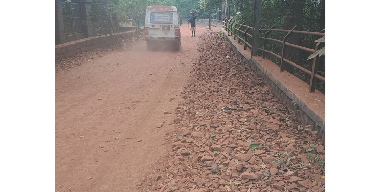 रस्ते धुळमुक्त कधी होणार?