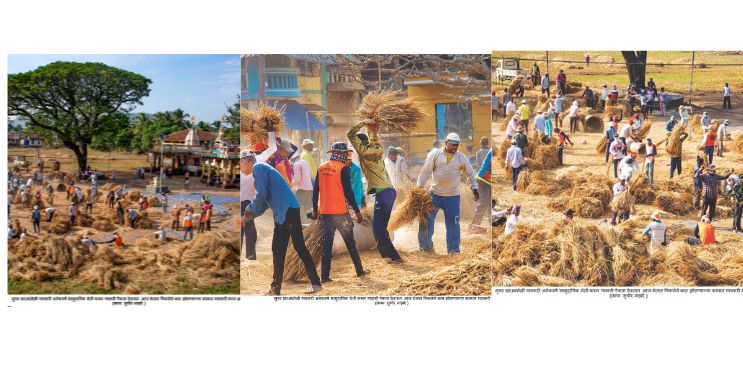 सामूहिक शेतीचा आदर्श सांगणारी खारआंबोळी