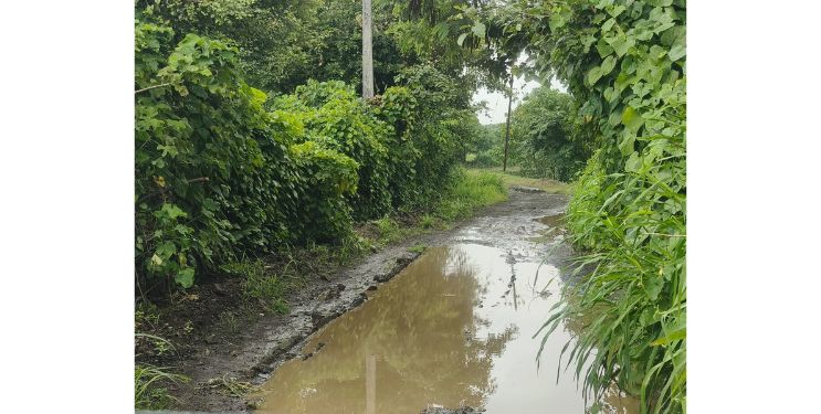 अखेर फणसापूर-गायचोळे रस्ता होणार