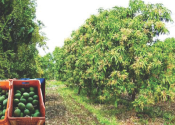 पिक विम्यासाठी शेतकर्‍यांचा पुढाकार