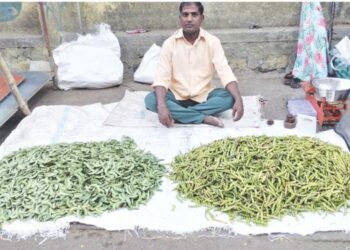 कर्जतच्या बाजारात वाल आणि तुरीच्या शेंगांचे आगमन