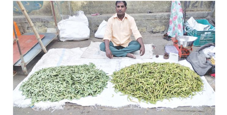कर्जतच्या बाजारात वाल आणि तुरीच्या शेंगांचे आगमन