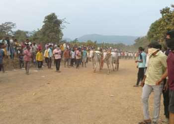 महाजनेत रंगला बैलगाडा शर्यतीचा थरार