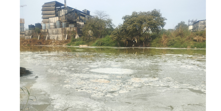 कासाडीची नासाडी