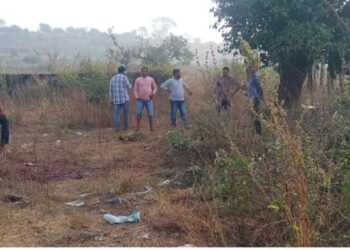 जनावरांची कत्तल करुन गोमांसाची विक्री