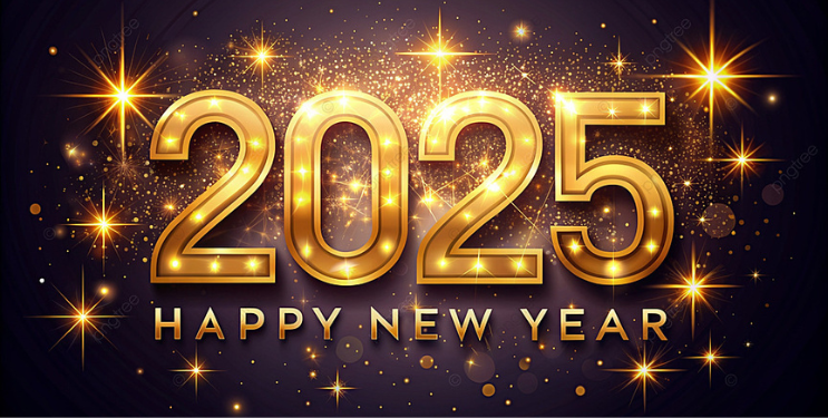 नववर्ष स्वागताचा उत्साह अन् जल्लोष