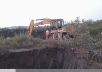 रस्त्यासाठी कांदळवनांची कत्तल