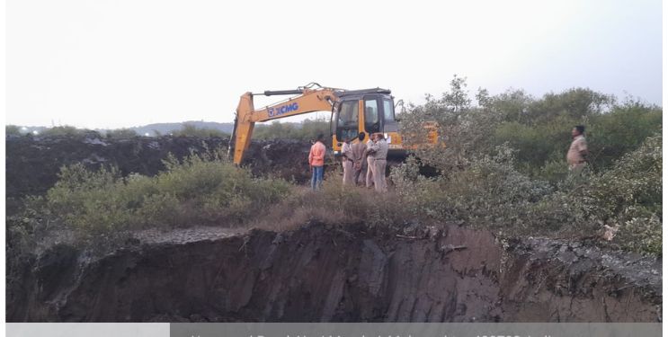 रस्त्यासाठी कांदळवनांची कत्तल