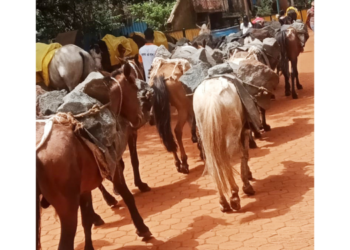 माथेरान पर्यावरणाची त्रिसदस्यीय समितीकडून पाहणी