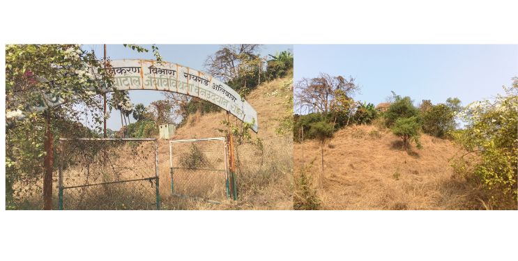 चौलच्या वन उद्यानाकडे दुर्लक्ष