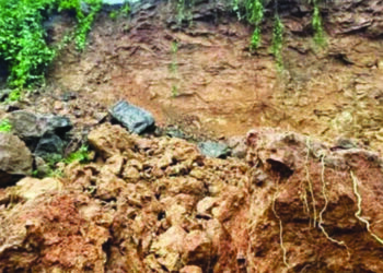 वाघरळ पाड्यावर भूमाफियांचे अतिक्रमण