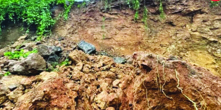 वाघरळ पाड्यावर भूमाफियांचे अतिक्रमण