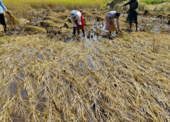 आचारसंहितेत रखडली भरपाई